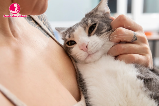 Ditempelin Kucing, Tandanya Hamil? Fakta Unik yang Perlu Diketahui Ibu Muda